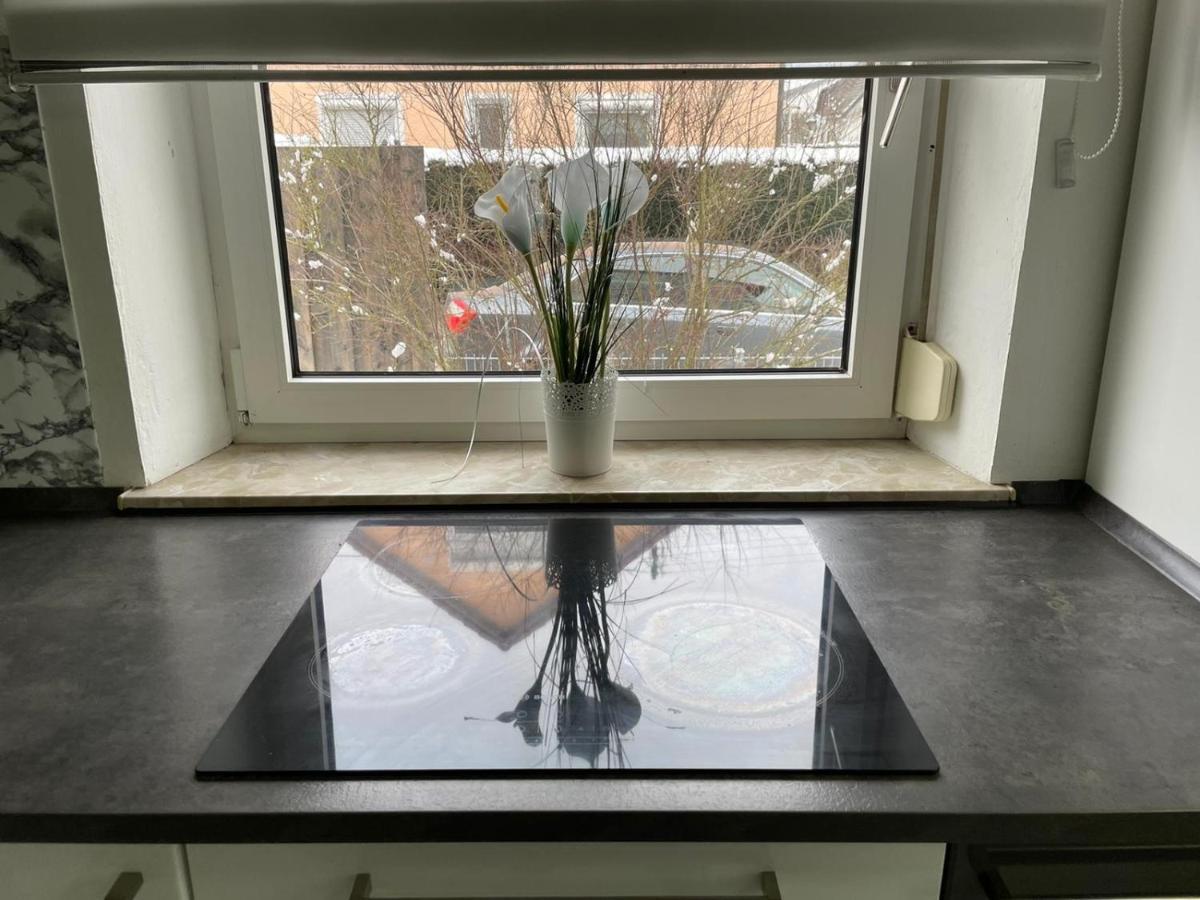 Guntia Apartment Mit Grossem Garten Günzburg Exteriör bild